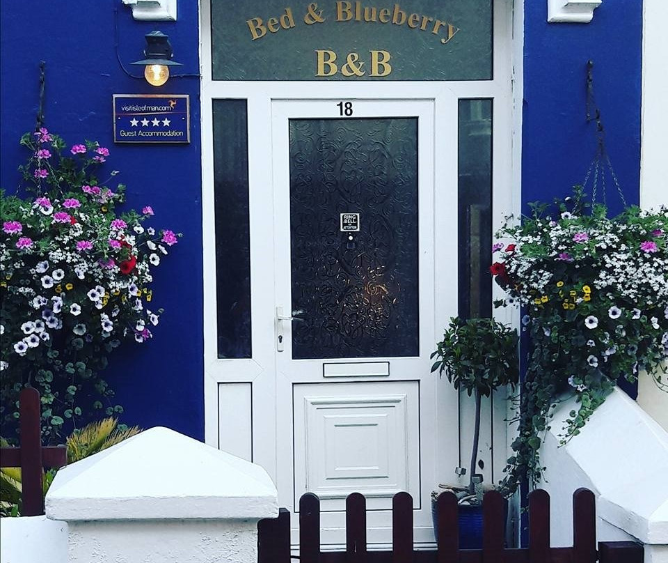 Bed and Blueberry主图