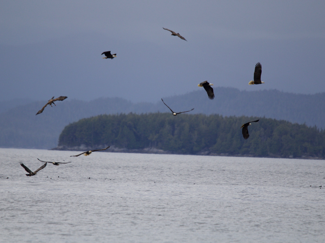 k'awat'si Tours-哈迪港必去景点