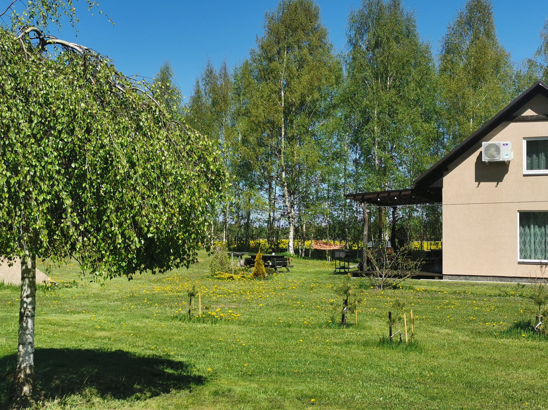 Burziņi