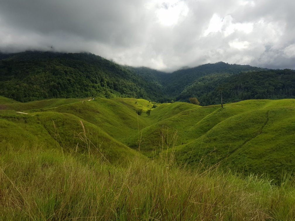 Teletubbies Hill景点图片