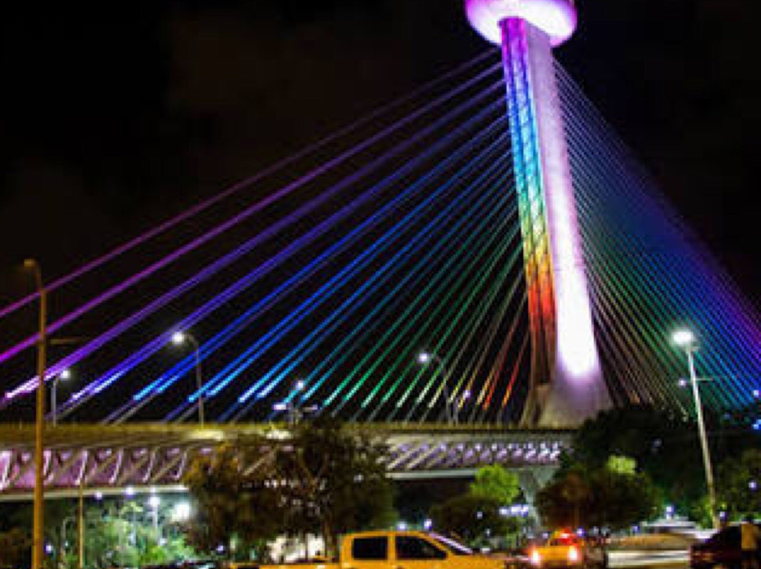 Ponte Estaiada景点图片