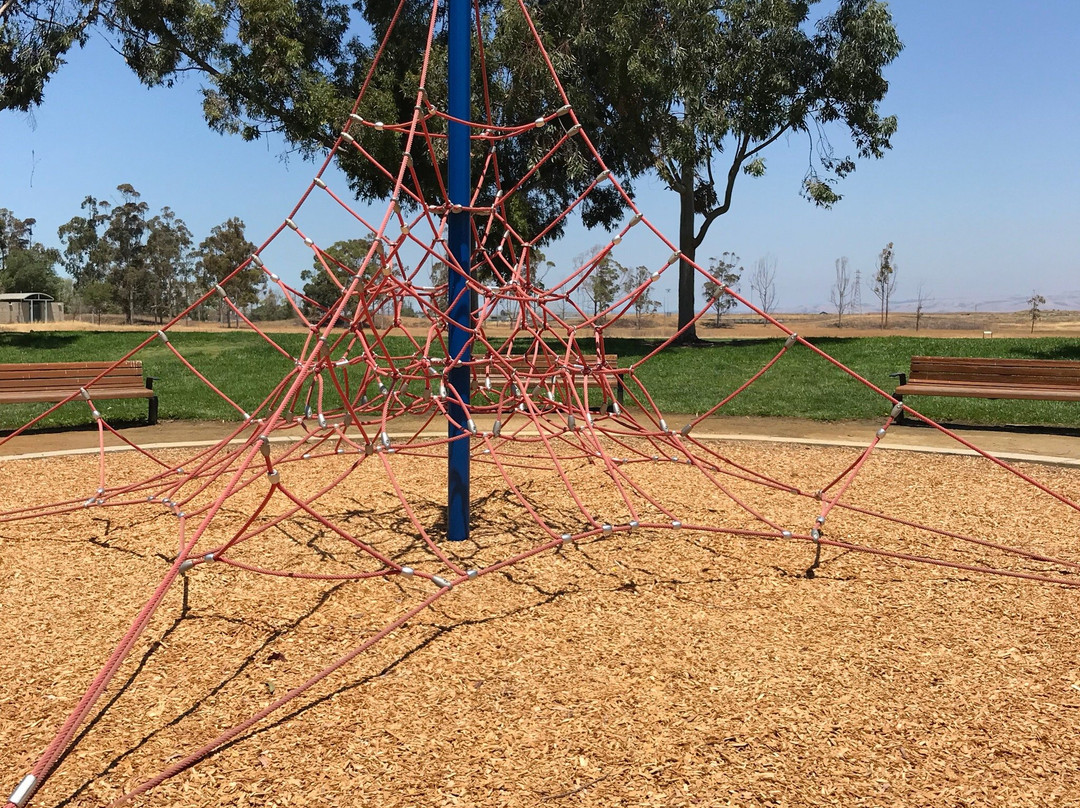 Sunnyvale Bay Trail-森尼韦尔必去景点