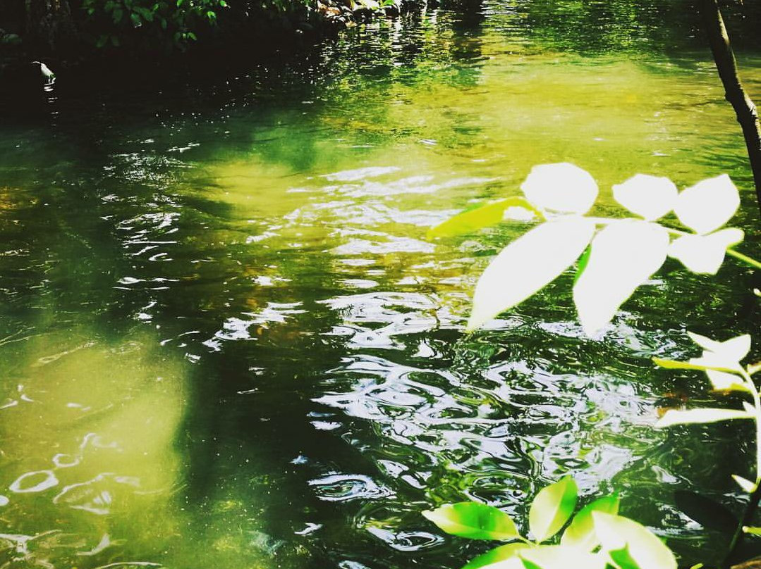 Hotel Arboleda主图