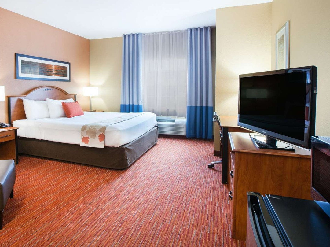 Hawthorn Suites by Wyndham Corpus Christi主图