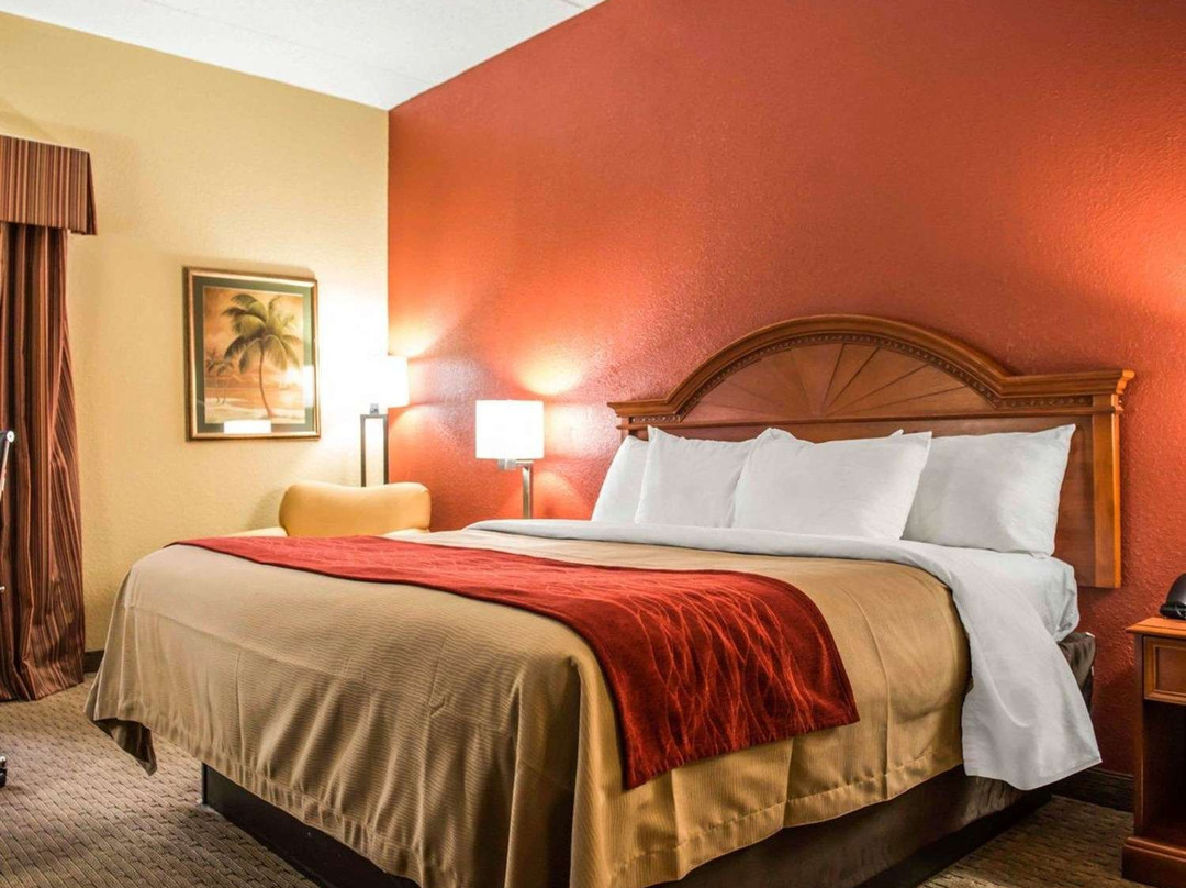 Comfort Inn & Suites Panama City - St Andrew主图