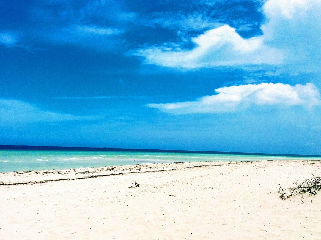 Cayo Jutia Beach景点图片