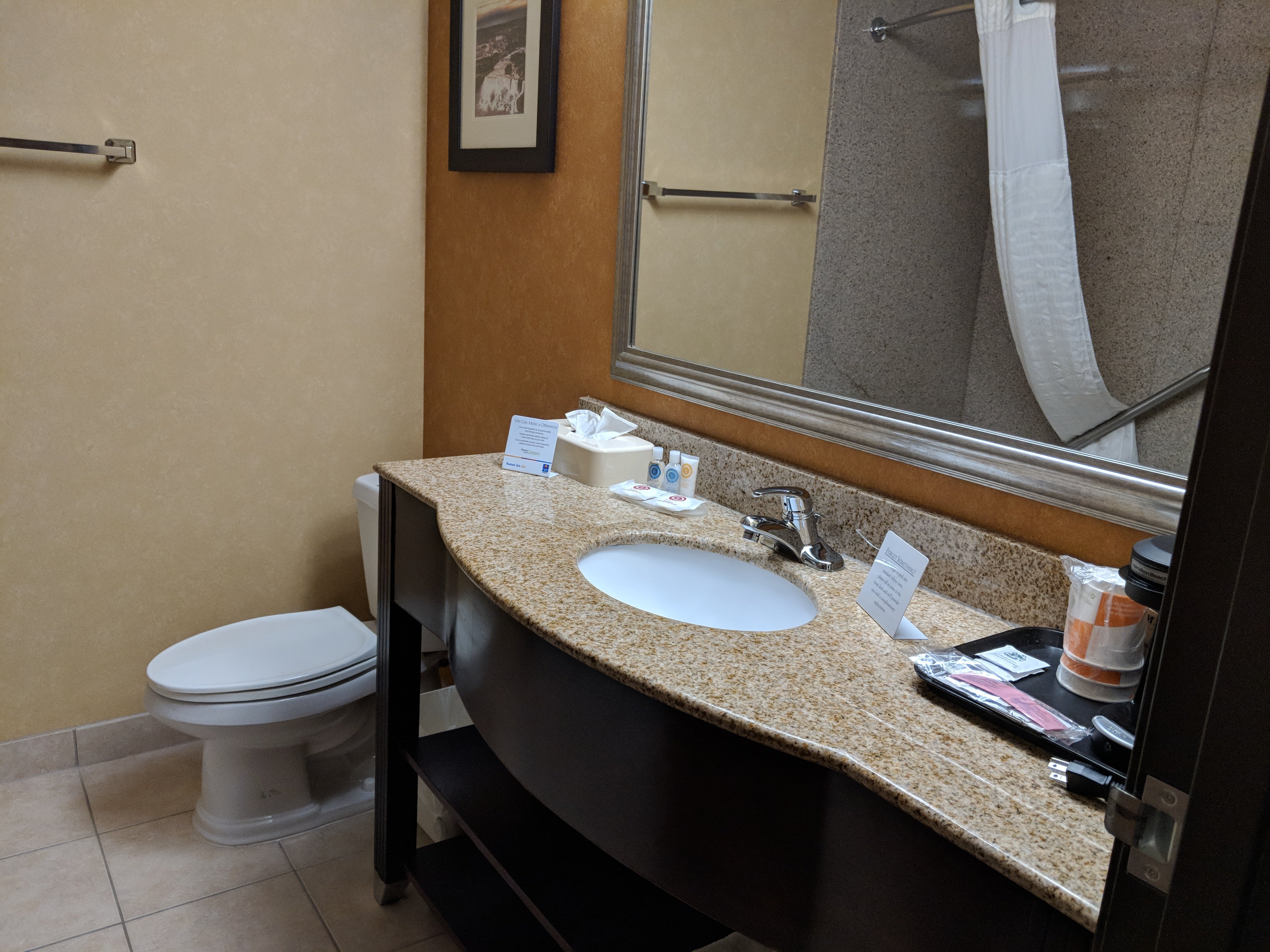 Quality Inn Near Walden Galleria Mall-浴室