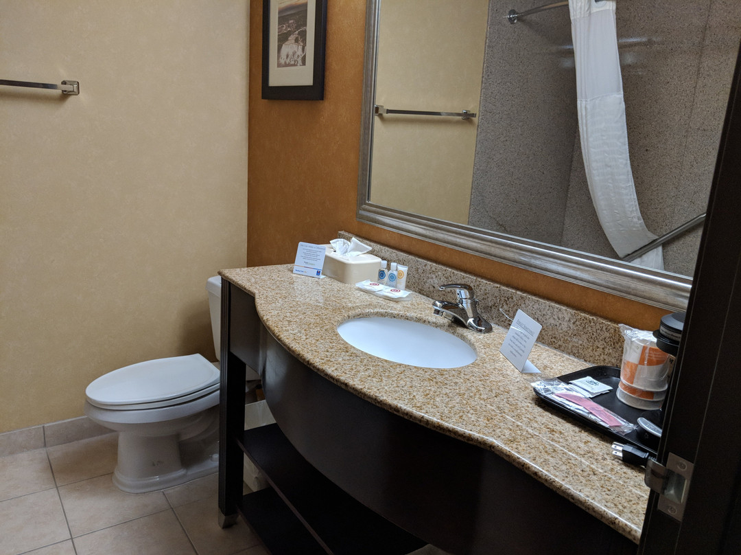 Quality Inn Near Walden Galleria Mall主图