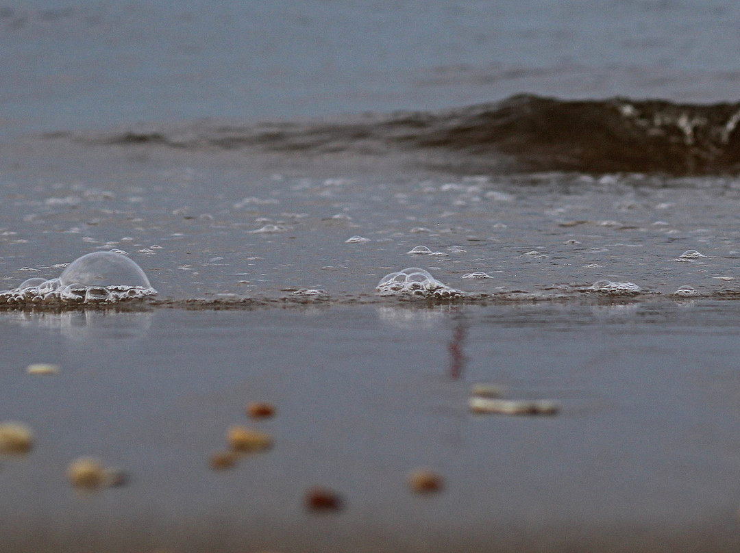 Ideal Beach景点图片