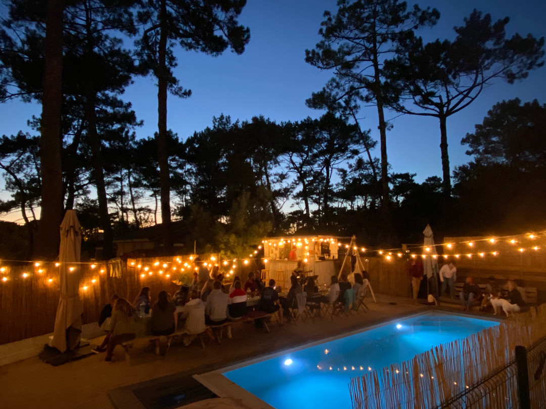 Longwave Surfcamp