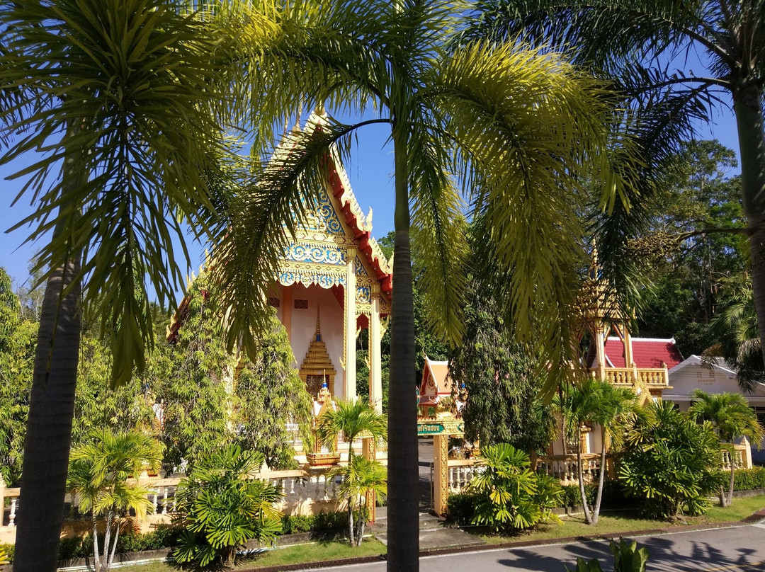 Wat Phra Thong景点图片