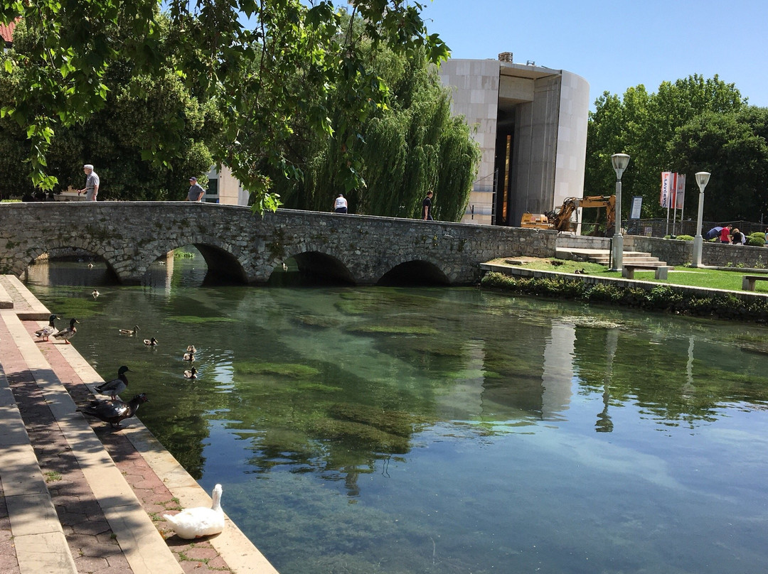 Our Lady’s Islet (Gospin otok)景点图片