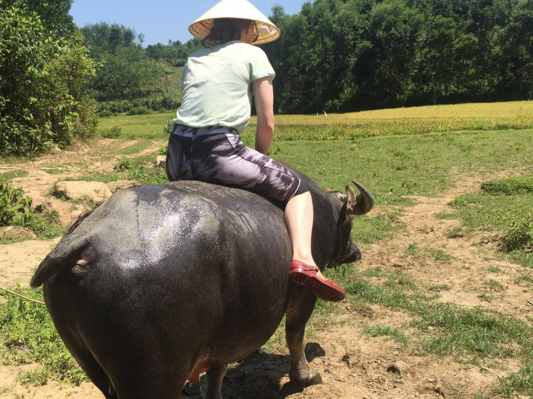 Phong Nha Booking Tour景点图片