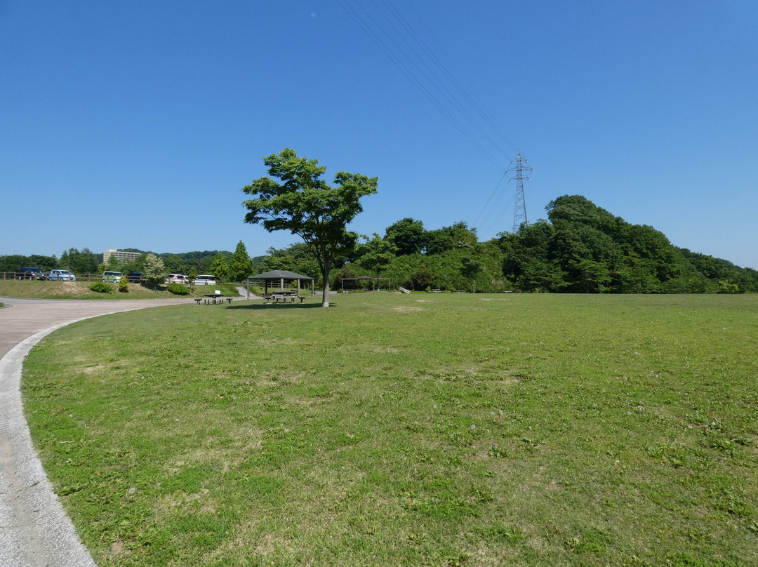 Iwaki Green Stadium景点图片