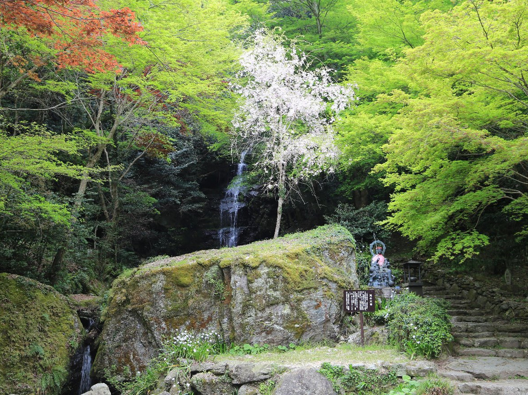 Ryuzoji Temple景点图片