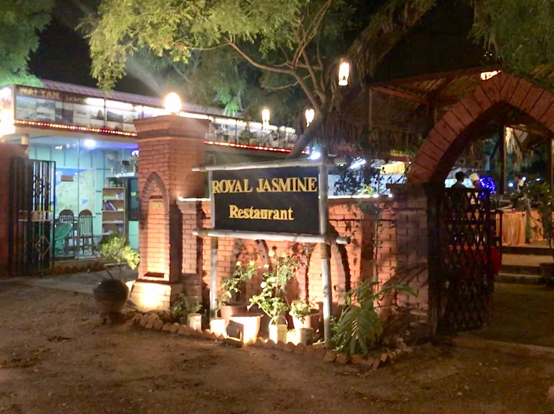 Royal Jasmine