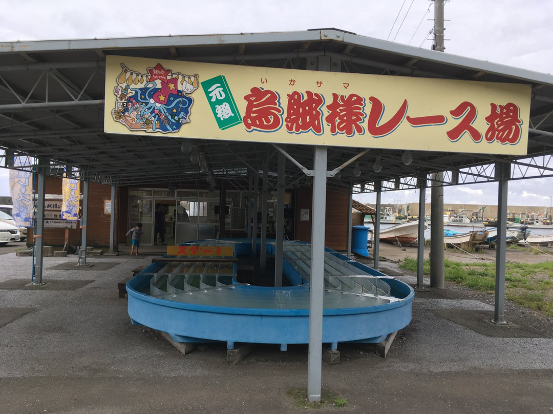 Kazama-mura Squid Center景点图片