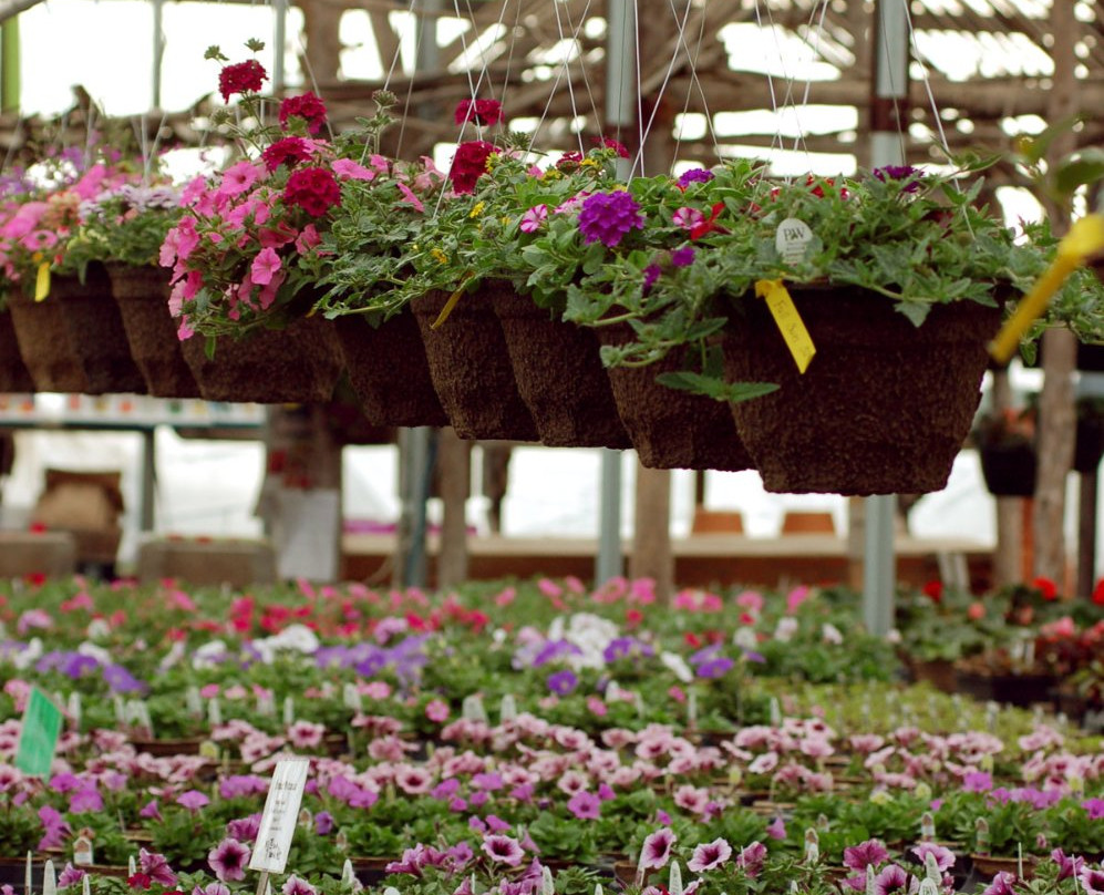 Hudak Farm-Swanton必去景点