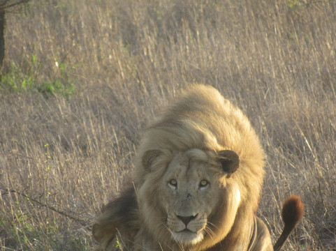 Bubezi Safaris, Tours & Transfers-雾观必去景点