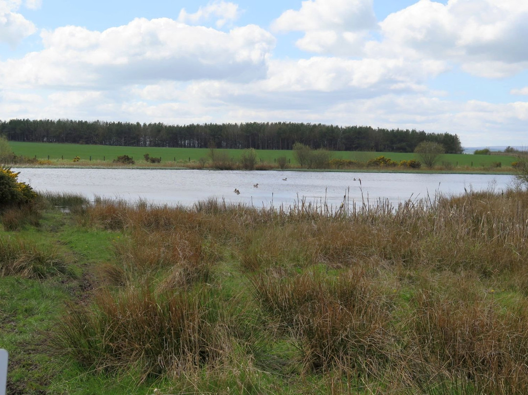 Chapman's Well Local Nature Reserve