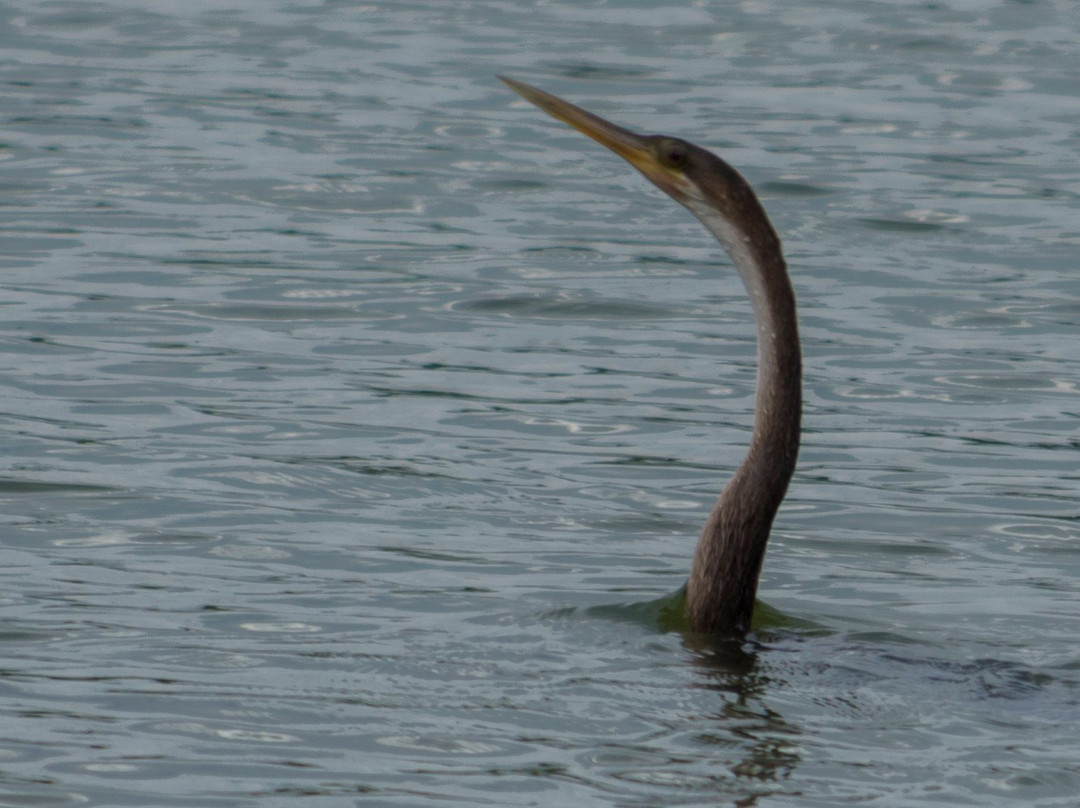 Parque das Águas-索罗卡巴必去景点