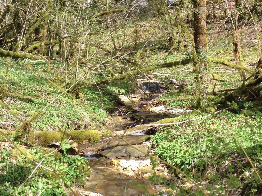 Cascade du Ruisseau de Valbois景点图片