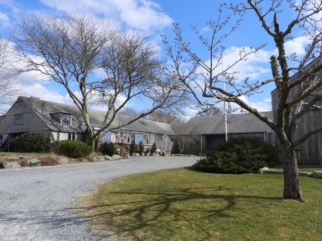Sakonnet Vineyard景点图片