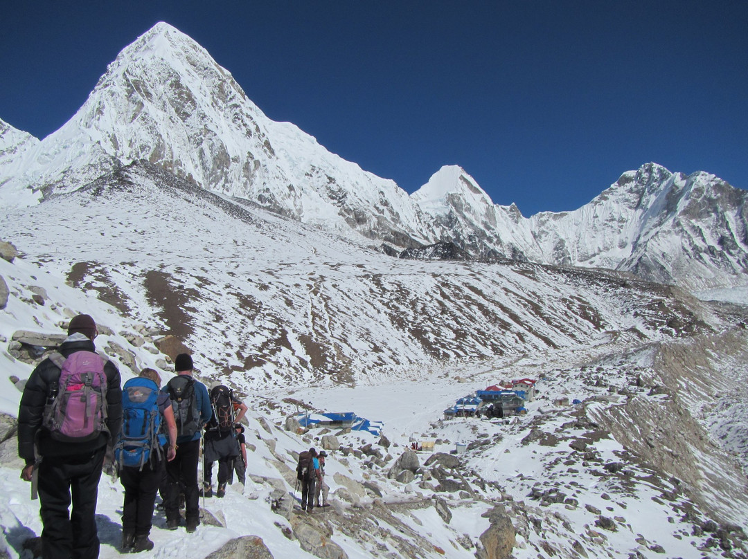 Himalayan Eco Treks & Travel