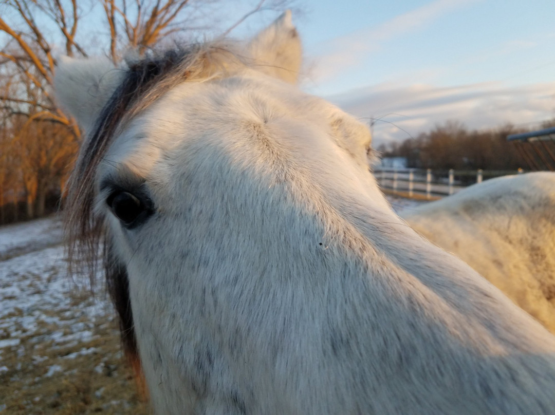 First Farm Inn主图