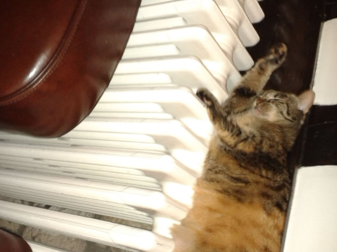 Hotel de la Cathedrale主图