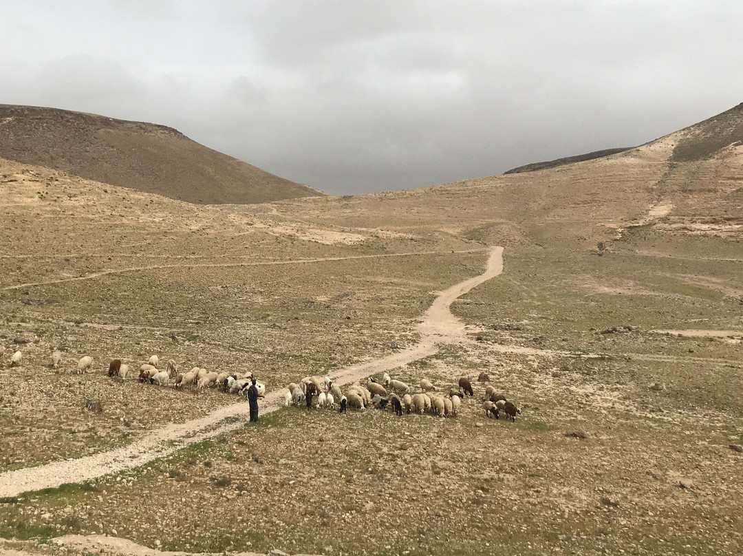 Dimona旅游景点-Nahal Kina