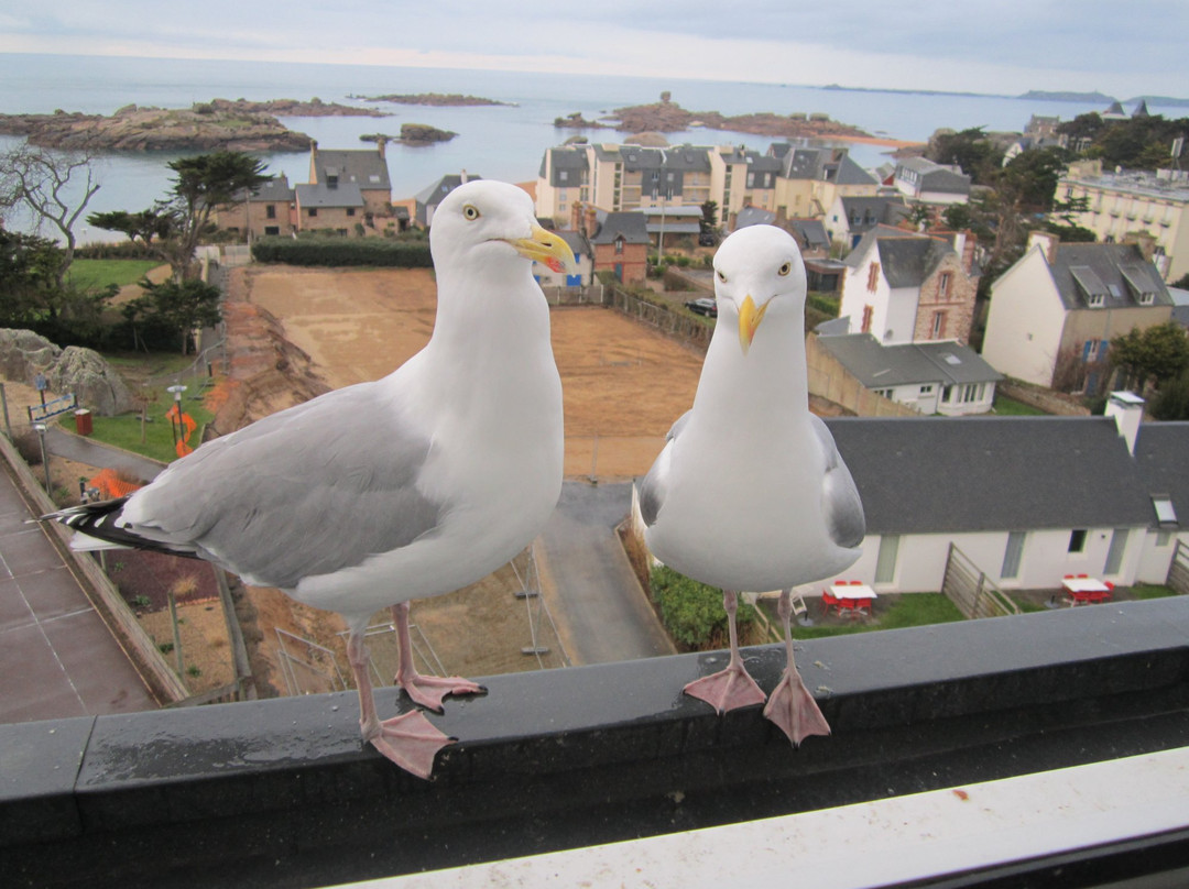 Belambra Clubs - Le Castel Sainte Anne主图