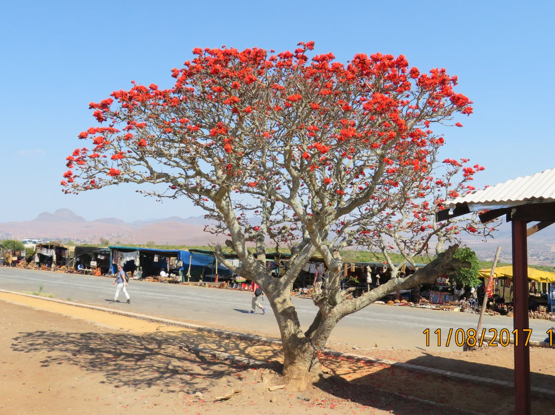 Blyderivierspoort Hiking Trail-朝圣者歇息地必去景点