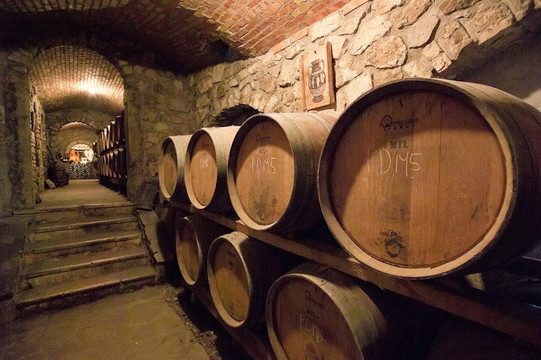 Napoli and Amalfi Tour Guide