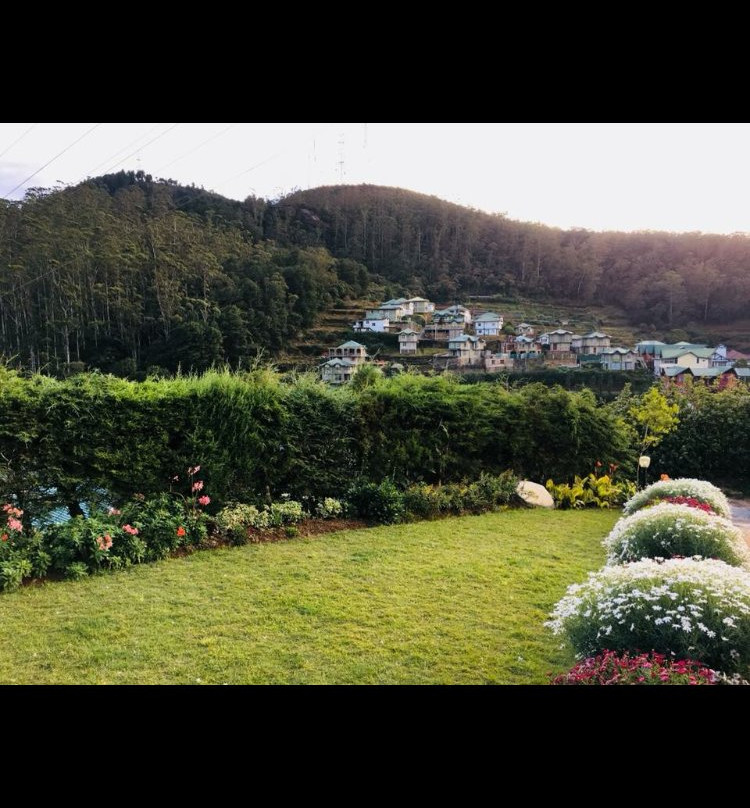 Royal Terrace Holiday Bungalow主图