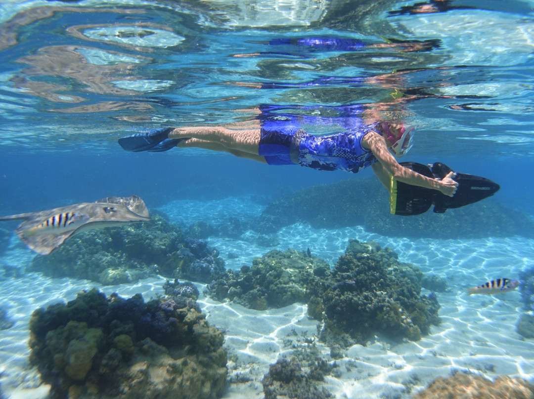 Moorea Water Games景点图片