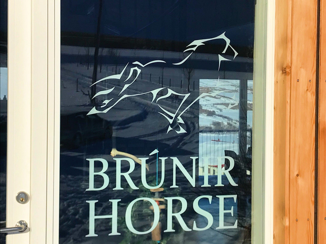 Brunir Horse景点图片