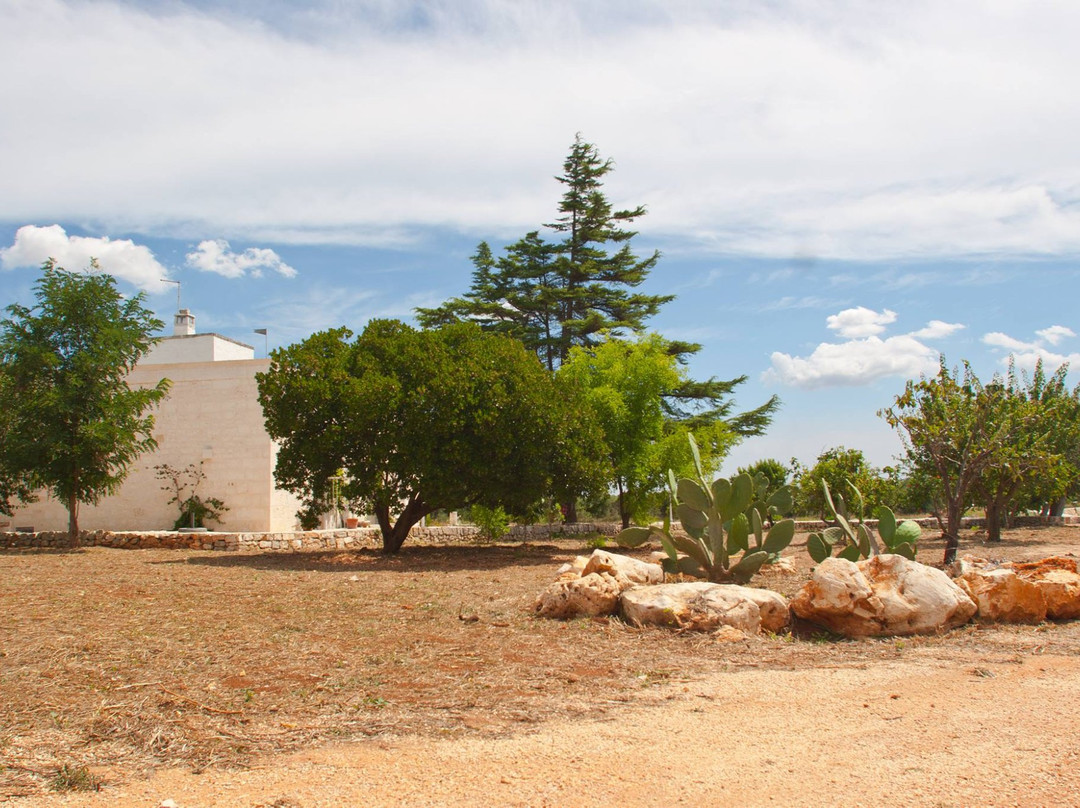 Masseria Belfiore主图