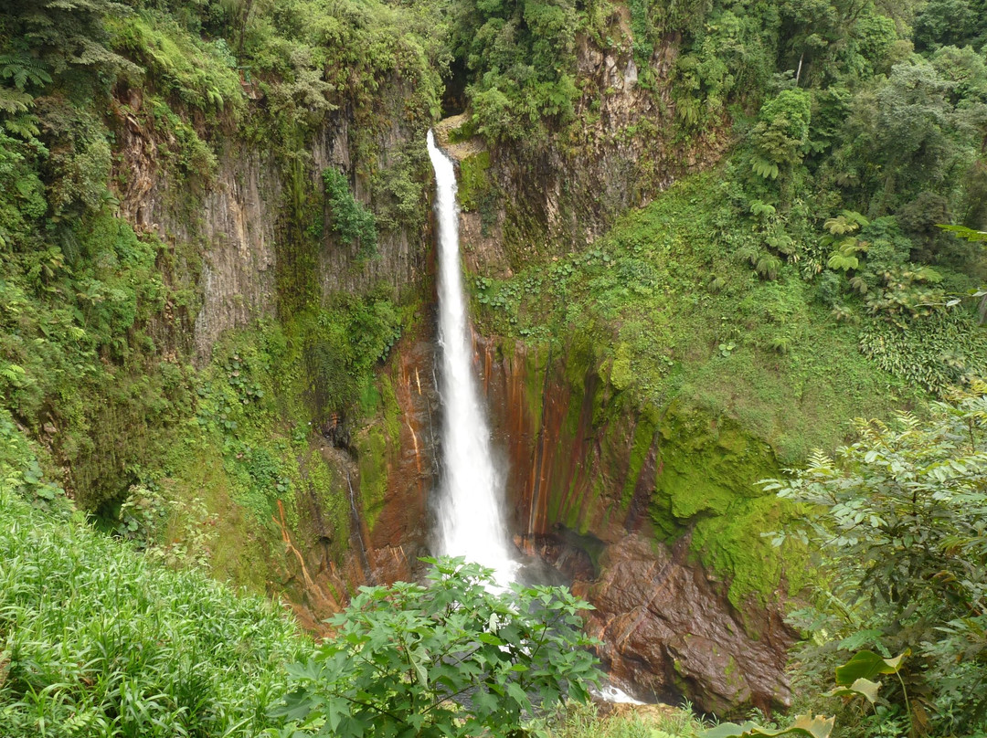 Catarata Del Toro Adventures景点图片