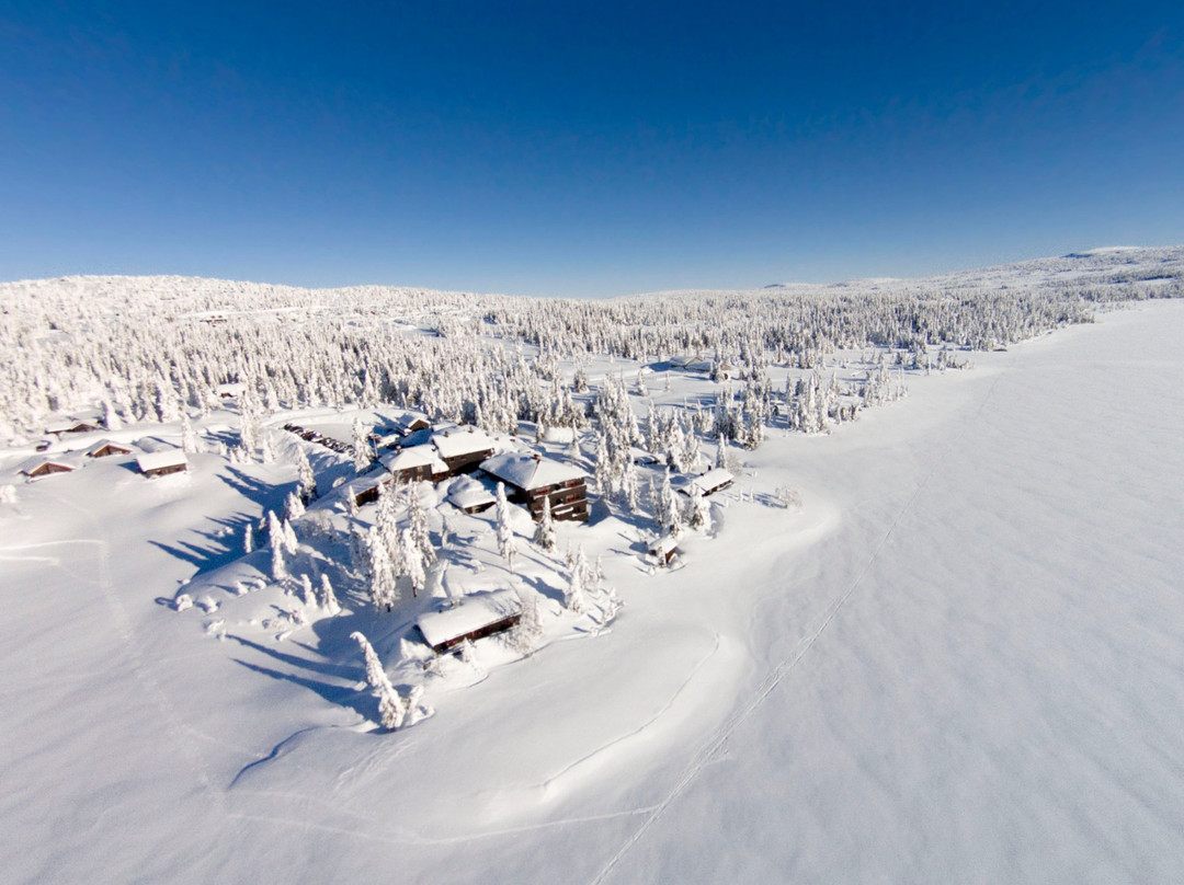 Rustad Hotell & Fjellstue主图