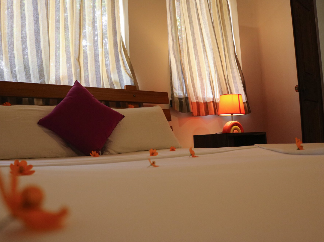 Pepper Tree Kandy主图