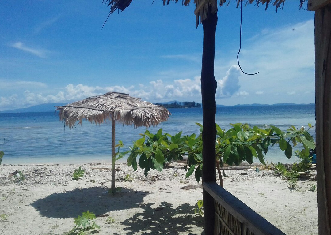 Ampi