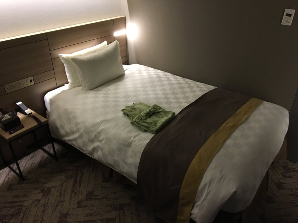 Nippon Seinenkan Hotel-官方