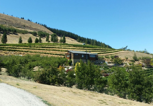 Clyde Village Vineyard-克莱德必去景点
