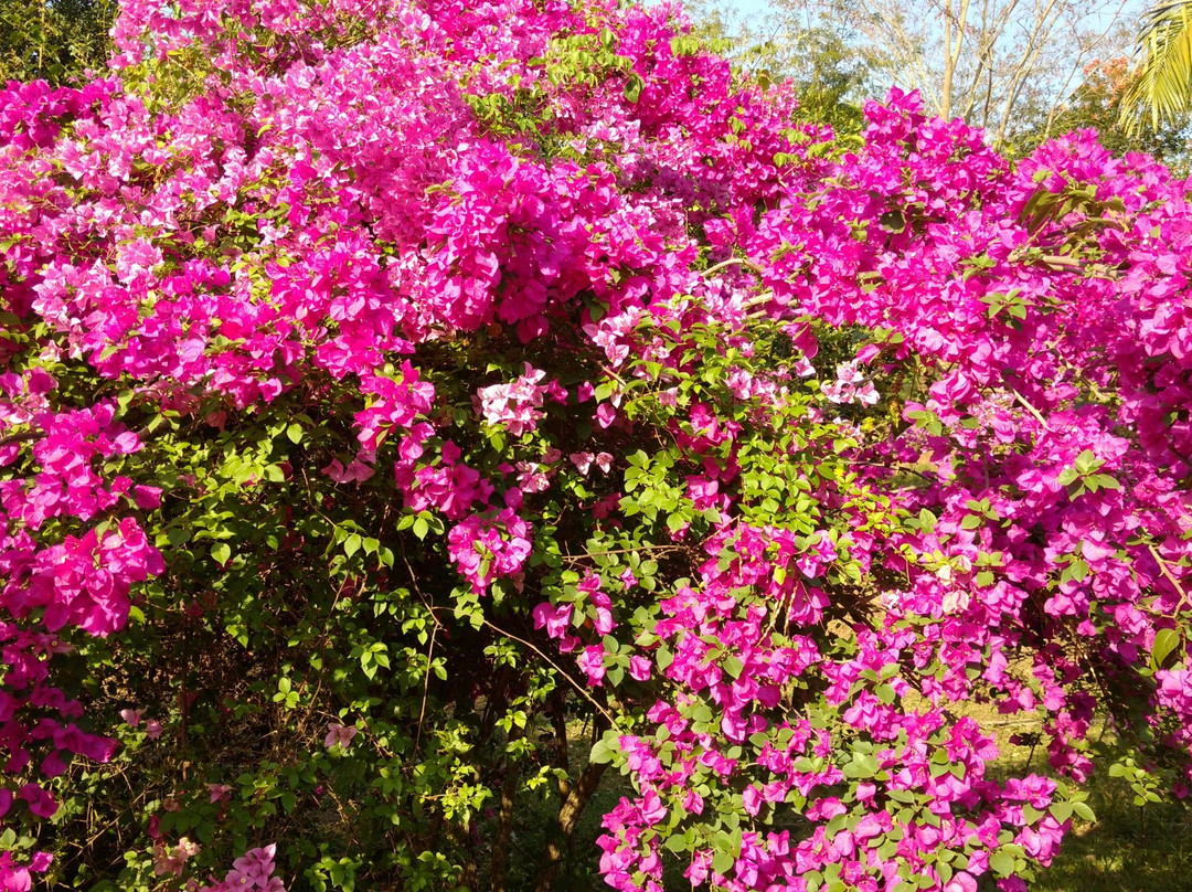 Santuario Morada de Deus-Alvares Machado必去景点