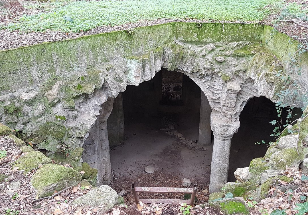 Crypt of the Abbey of Saint Salvatore景点图片