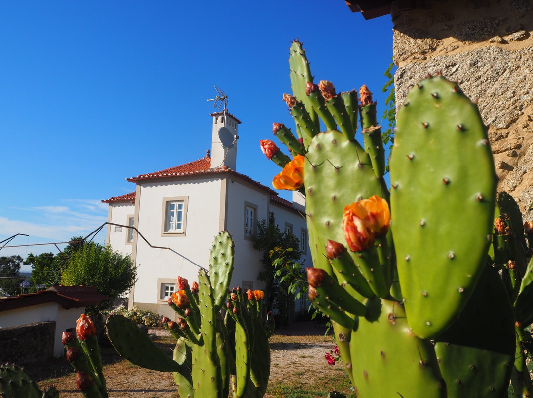 B&B Quinta Vale Porcacho主图