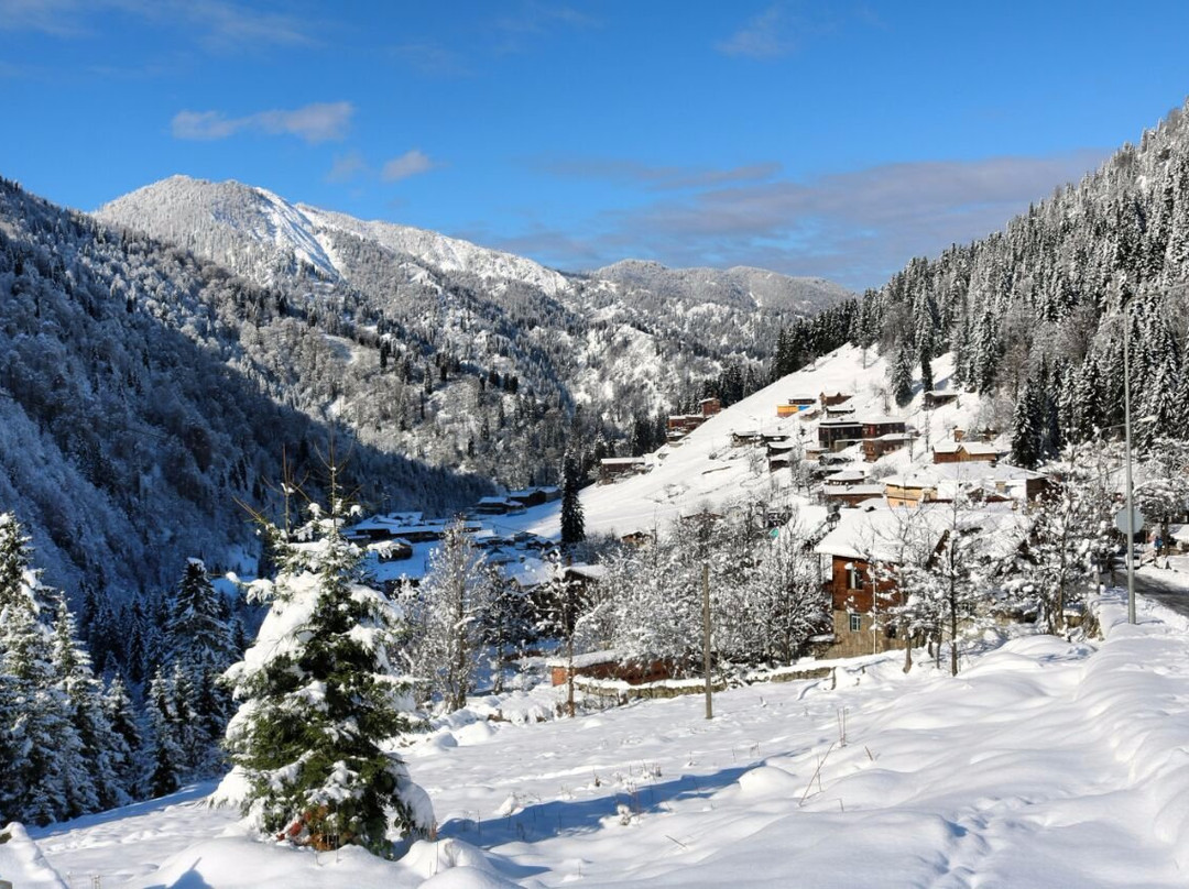 Ayder Umit Hotel主图