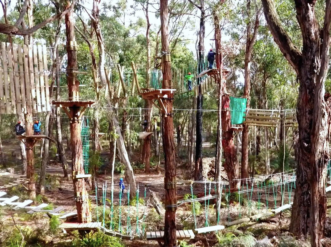 Treetops Adventure Yeodene-Yeodene必去景点