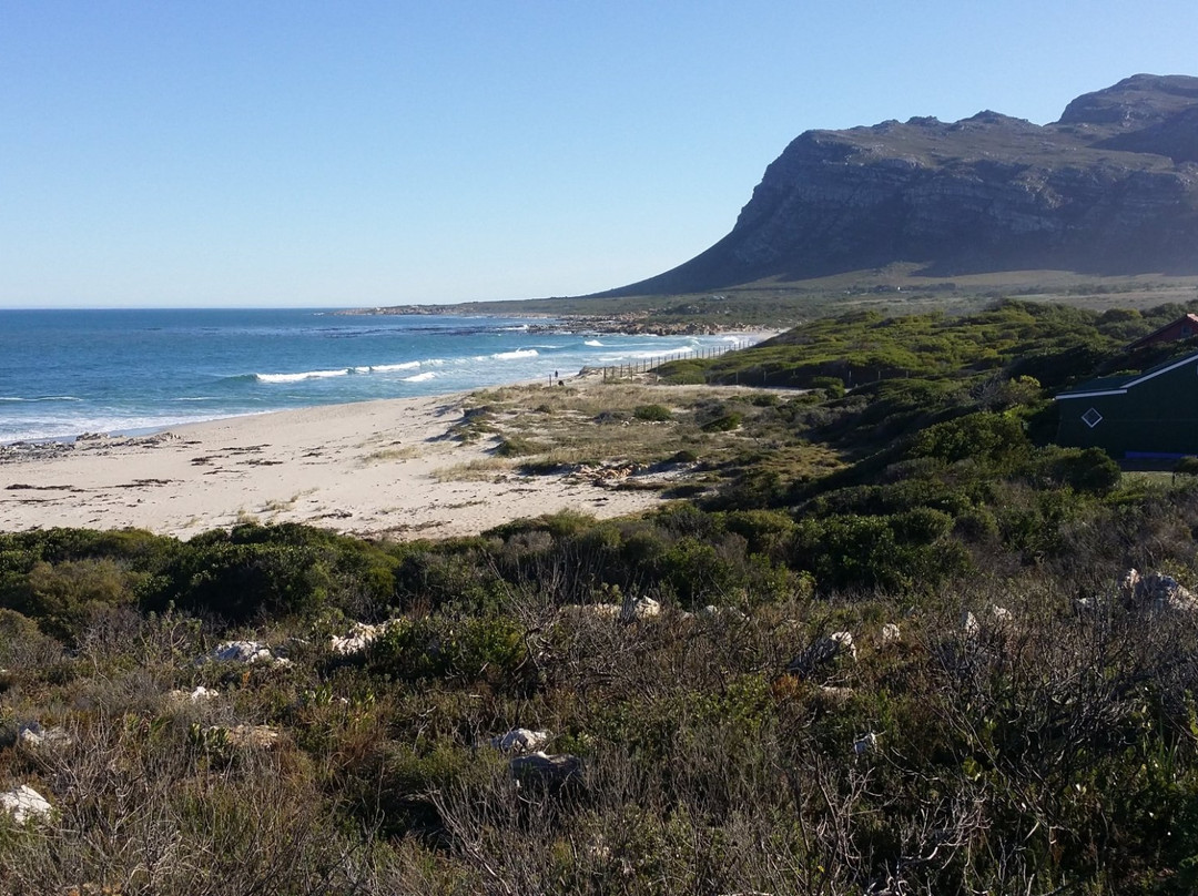 Kogelberg Nature Reserve-开普敦必去景点